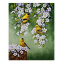 Round Drill 5D Diy Diamond Painting "Birds and Flowers" Embroidery Cross St T2R8