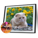 DIY Animal 5D Full Square Drill Diamond Painting Cross Stitch Gift (NF0157)