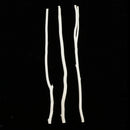 11.8 Inch Long 0.2-0.4 Inch in Diameter Wood Log Sticks for DIY Crafts Photo