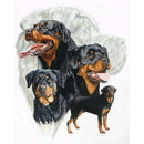 5D DIY Full Drill Diamond Painting Dogs Group Cross Stitch Embroidery Kits