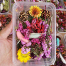 1 Box Mix Natural Dried Flowers Scrapbooking Decor DIY Epoxy Mold Filling CSEAU