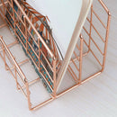 Mail Organizer, 3-Slot Mail Holder, Metal Wire Mail Sorter for Letters, Mai