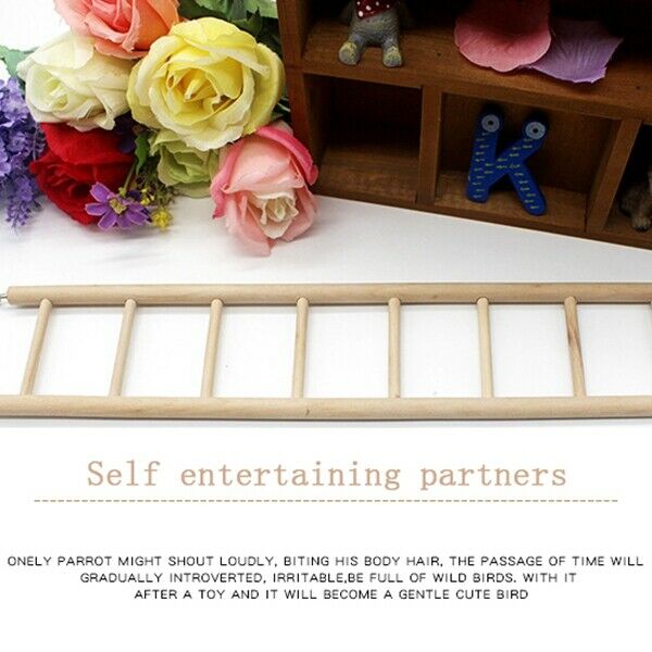 Ladder wood, 1 rungs / 36 cm for parakeets, canary P5V2