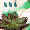 38ml Rhizotonic Vegetative Stimulator For Plant Roots Tree Garden Farm B1Q0