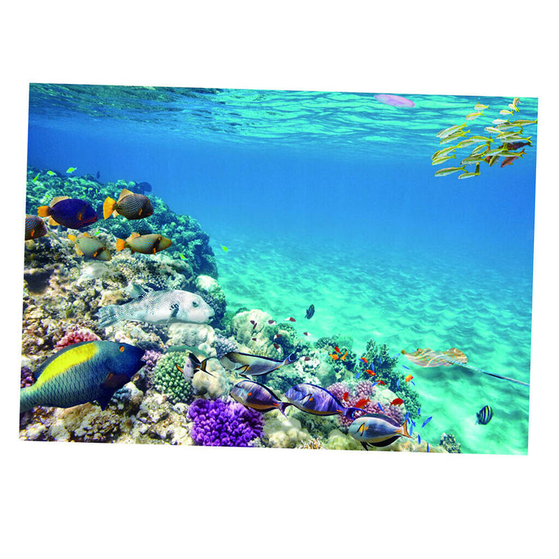 2 Pieces Decorative Aquarium Background Poster Fish Tank Backdrop Vivid