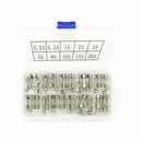 100Pcs 5X20mm Quick Blow Glass Tube Fuse Assorted Kits Fast-Blow Glass FusesA4J1