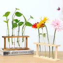 Wall Mounted Hanging Planter Test Tube Flower Vase Tabletop Glass Wood for Home