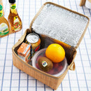 Portable insulated thermal cooler lunch box imitation rattan picnic container ^