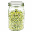 Stainless Steel Sprouting Lids for Wide Mouth Mason Jars - Strainer Lid for K2W9