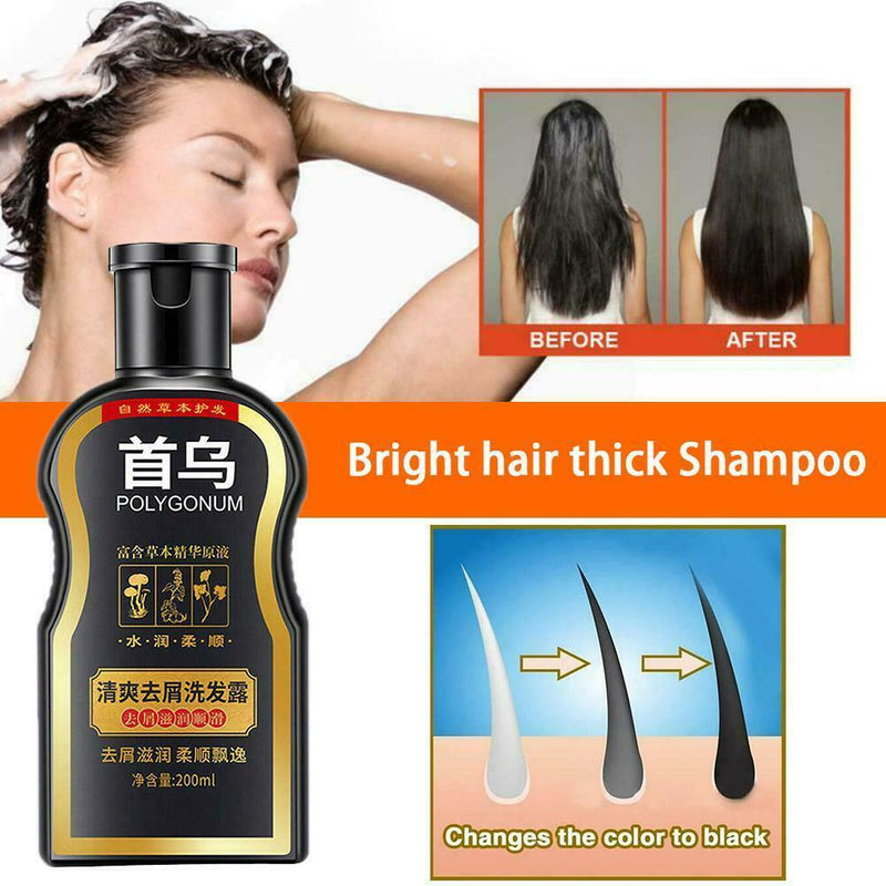 Darkening Shampoo Permanent Black Hair Shampoo Natural Ginger Coloring  Top