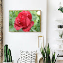 5D DIY Diamond Painting Flower Full Round Drill Canvas Wall Picture (A914)