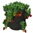 Garden Planting Grow Bag Potato Strawberry Planter Bags For Outdoor Vegeta Gw