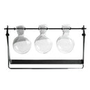 Modern Glass Tabletop Hydroponic Flower Vase With Cast Iron Tray 3 Beaker E
