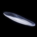 Portable long magic tricks rattleback rock novelty spinner philosophocal toy3 Gw