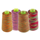 Set Of 4 Rainbow Polyester Cross Stitch Sewing Thread Home Sewing Supplies