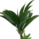 Amphibians & Reptile Terrarium Artificial Succulents Plants Decoration