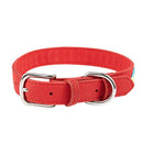 Braided Cool Stylish Braided Soft Padded Pet Collar Fits Small Medium Large