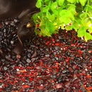 100g Natural Garnet Crystals Jewelry Degaussing DIY Bracelet Home Decor hv2n