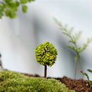 5pcs/lot Simulation Tree Flower Colorful Ball Tree Micro Landscape Ornaments .ES