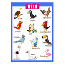 Birds~Kids Fun Early Learning Educational Preschool Poster Charts