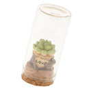 Cute Green Succulent Statue Garden Home Statues Protected by Glass Terrarium