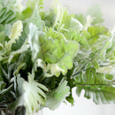 Artificial Senecio Leaves Branches Simulation Leaves Flower Arrangement