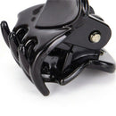 Fashion Women 12pcs Black Plastic Mini Hairpin 6 Claws Girls Hair Clip Clamp NEW