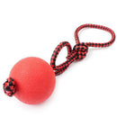 Indestructible Dog Ball on a Rope for Pet Puppy Toys Tug Balls Pet Chew Toys Z
