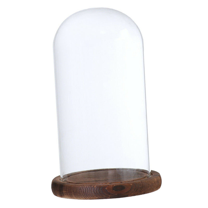 Glass Landscape Flower LED Light Ornament Cover Dome Display Stand _Brown D