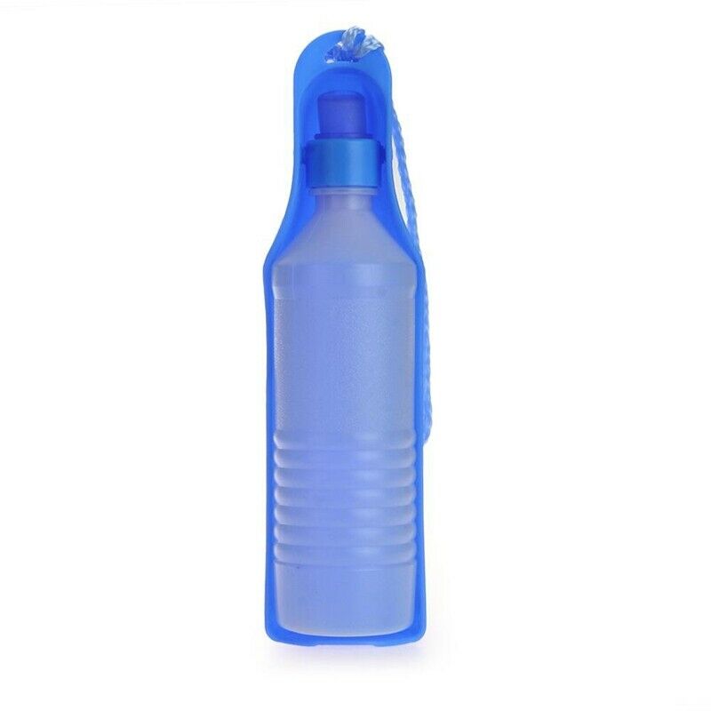 500 ml Blue Gourde with Portable water dispenser bottle for Dog Chat