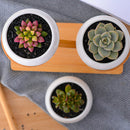 White Ceramic Succulent Flower Pot And Tray Bracket Combination Simple Crea H9D5