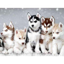 Animal Portraits 5D Full Drill DIY Diamond Painting Embroidery Kit (T174)