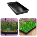 Plastic Growing Trays Seedling Starter Hydroponics Plant Germination Nursery Hn