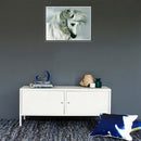 5D Diy Diamond Mosaic Embroidery Christmas Gift Painting White Horse Animal