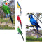 4 Pieces Realistic Feathered Parrot Birds Statue Indoor Outdoor Garden Art