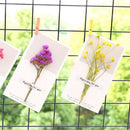 Dried Flowers Greeting Cards-Blank Note Cards Birthday Note Thank You Cards X1A2