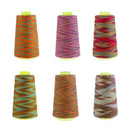 6pcs Rainbow Color Polyester Sewing Thread 40s/2 for Hand and Sewing Machine