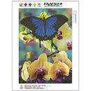 5D Butterfly Diamond Embroidery Painting Cross Stitch DIY Wall Decor