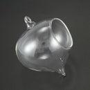 1Pc Cute Home Fashion Lantern Shape Clear Glass Flower Plant Hanging Vase P