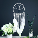 Luminous Feather Glow  in Dark Dream Catcher Night Bedroom Hanging White Gift