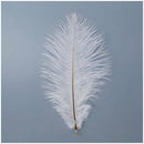 10 Pieces White Natural Ostrich Feather 20-25cm Wedding DIY A3Z6