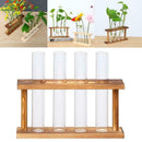 Wall Mounted Hanging Planter Test Tube Flower Vase Tabletop Glass Wood for Home