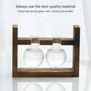 Glass containers, plant glass containers, modern decorative glass pots, hyd