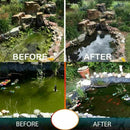 Aquatic Algae Control Purifier Desiccant Algaecide Odor Purify Water Fish R B2R1
