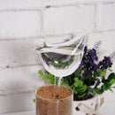 3Pcs Glass Watering Device Garden Care