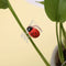 30 Pcs Orchid Clips, Ladybug Plant Clips, Garden Support Clips Durable Plan