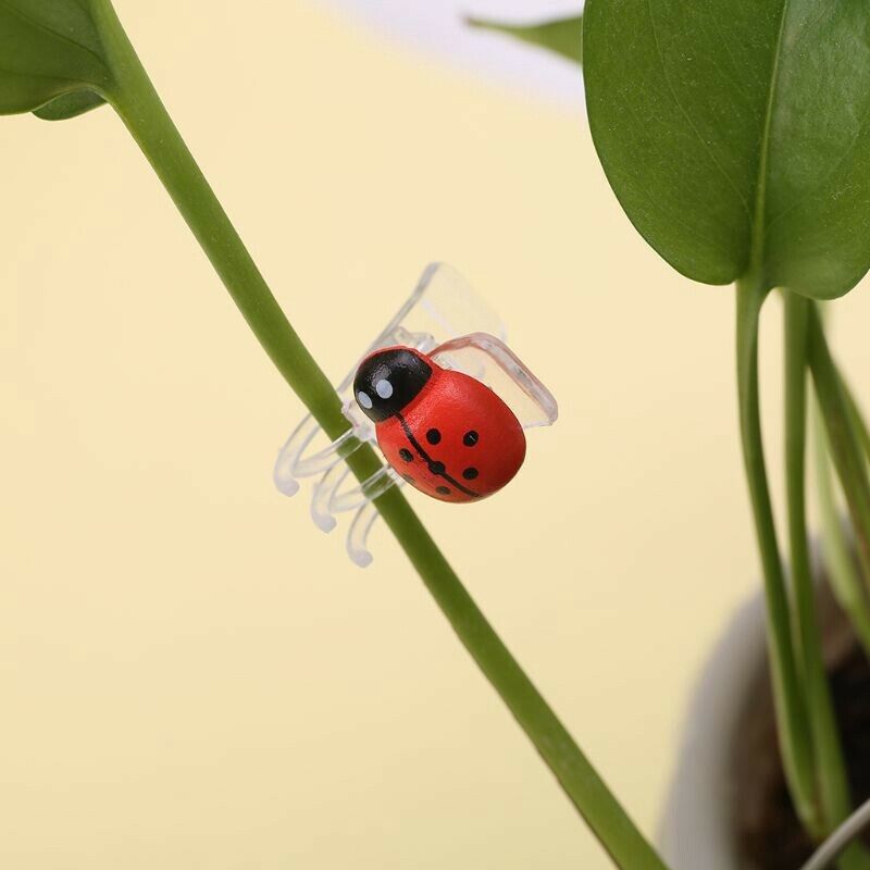 30 Pcs Orchid Clips, Ladybug Plant Clips, Garden Support Clips Durable Plan