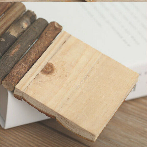 Wooden Exercise Toys for Hamster Hedgehog Mouse Rat Guinea Pig, Long Ladder S5S1