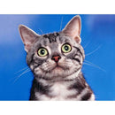 5D DIY Full Drill Diamond Painting Cross Stitch Embroidery Kits (Look Cat)