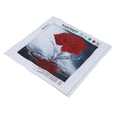 5D DIY cross stitch diamond painting home decoration 30 * 30 cm, water Rose T3S6